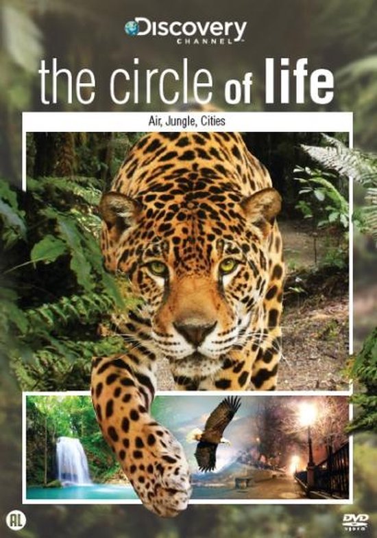 Cover van de film 'Air, Jungle & Cities'
