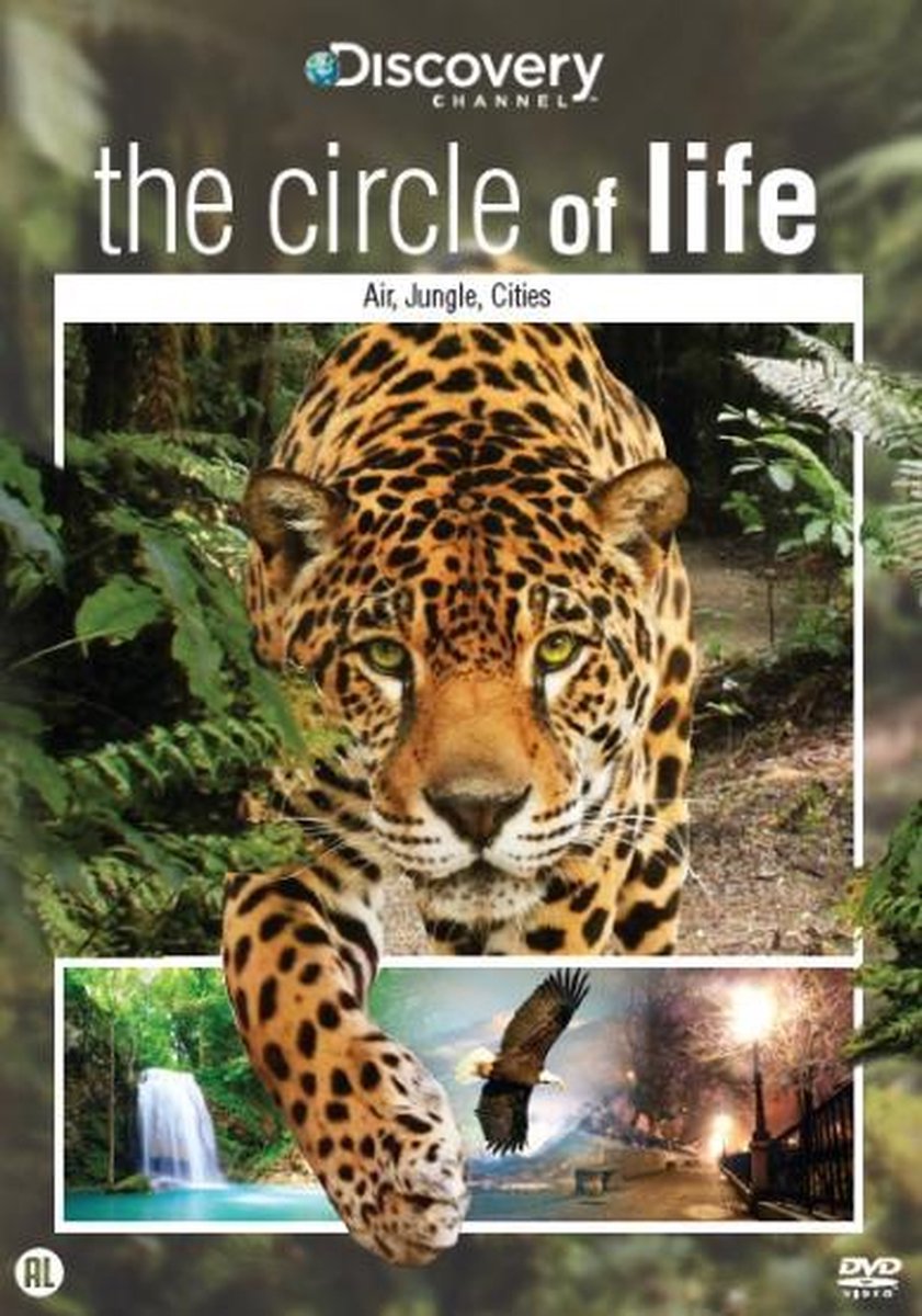 The Circle Of Life - Air, Jungle, Cities
