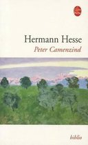 Ldp Bibl Romans- Peter Camenzind