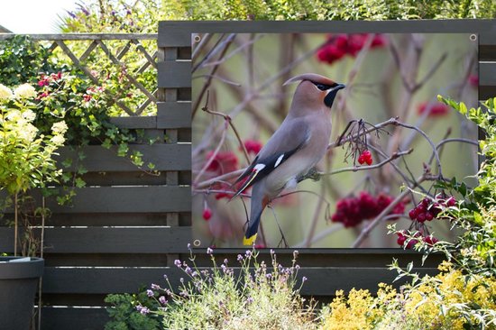 Muurdecoratie buiten Pestvogel in een bessenstruik - 160x120 cm - Tuindoek - Buitenposter