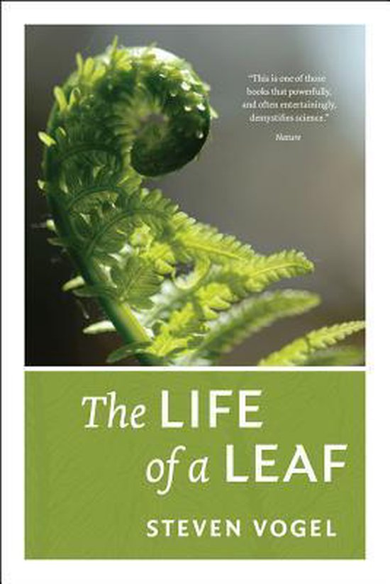 Life Of A Leaf - cover