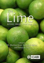 Botany, Production and Uses - Lime, The