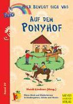 Auf dem Ponyhof