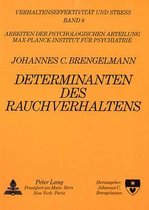 Determinanten Des Rauchens