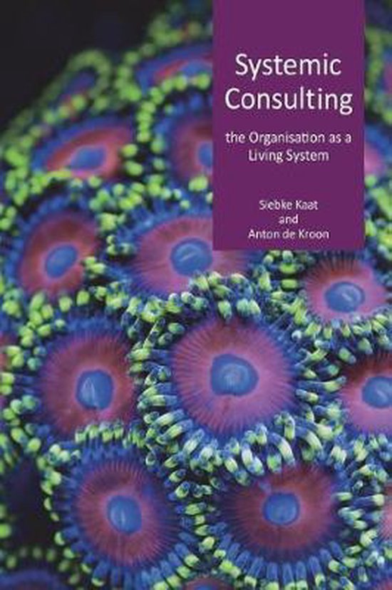 Systemic consulting - cover