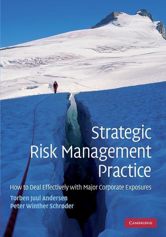 Strategic Risk Management Practice - cover