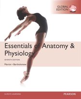 Essentials Of Anatomy & Physiology GE