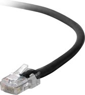Belkin UTP CAT5e 0.5 m netwerkkabel 0,5 m U/UTP (UTP) Grijs