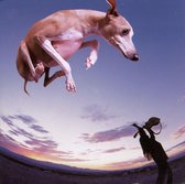Flying Dog