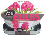 Buzzy Bulbs Bloembollen - Triangle Tray Hyacinthen - Rose