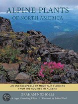 Alpine Plants Of North America