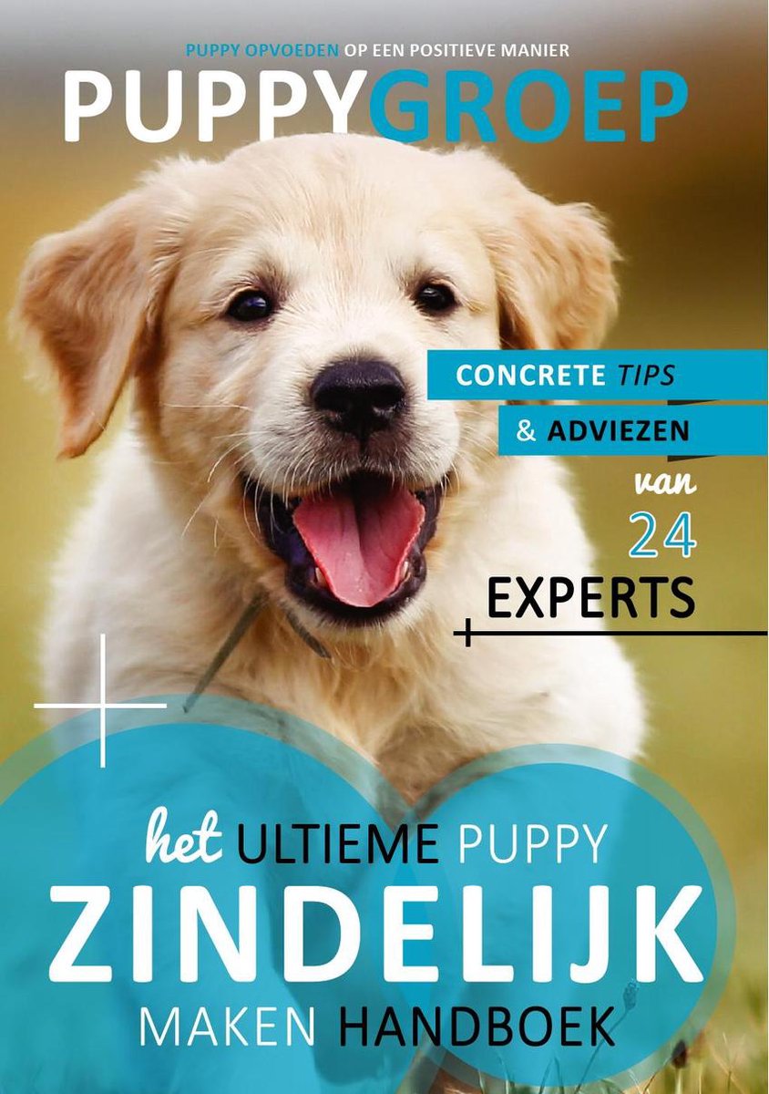 Puppy Opvoeden: De Nieuwe Methode 1 -   Het Ultieme Puppy Zindelijk Maken Handboek - Robbin Kleinpenning