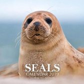 Seals Calendar 2019