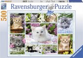 Ravensburger puzzel Poesjes in hun mandje - Legpuzzel - 500 stukjes