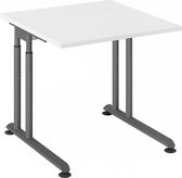 Bureau - In Hoogte Verstelbaar - Meerkleurig - Zeno 8 G - 80x80