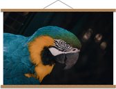 Schoolplaat – Blauw/Gele Papegaaienkop  - 90x60cm Foto op Textielposter (Wanddecoratie op Schoolplaat)