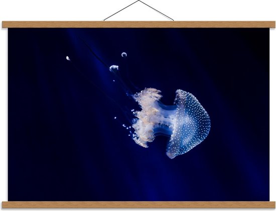 Schoolplaat – Blauw/Witte kwal  - 90x60cm Foto op Textielposter (Wanddecoratie op Schoolplaat)