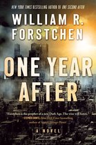 A John Matherson Novel 2 - One Year After