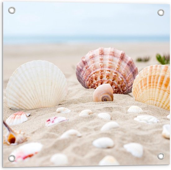 Tuinposter – Schelpjes in het Zand - 50x50cm Foto op Tuinposter  (wanddecoratie voor buiten en binnen)