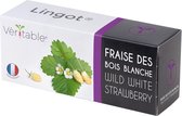 Véritable® Lingot® White wild strawberry -  WITTE WILDE AARDBEI navulling voor alle Véritable® binnenmoestuin-toestellen