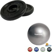 Tunturi - Fitness Set - Halterschijven 2 x 0,5 kg - Gymball Zilver 75 cm