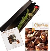 Rode roos - Belgische chocolade zeevruchten Guylian - Luxueuze verpakking - bloemenvoedsel - kaartje