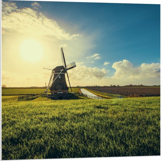 Forex - Windmolen met Zonnetje  - 80x80cm Foto op Forex