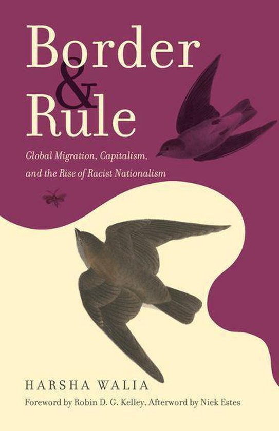 Boekomslag van Border & Rule. Twee vogels en een insect vliegen rond de titel.