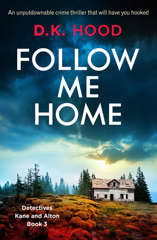 Detectives Kane and Alton 3 - Follow Me Home - cover