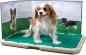 Petsafe Zindelijkheidsmat Piddle Place 76,2 Cm Groen 2-delig