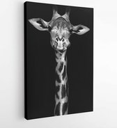 Onlinecanvas - Schilderij - Giraffe In And Art -vertical Vertical - Multicolor - 40 X 30 Cm