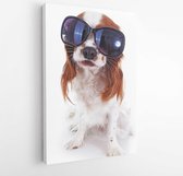 Funny dog with sunglasses can illustrate traveling or any other concept. Funny king charles spaniel dog. Funniest Cavalier dog. Cute studio photo.  - Modern Art Canvas  - Horizonta