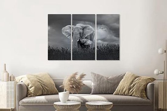 Schilderij - Moeder en baby olifant, 3 luik, 120x80cm, wanddecoratie