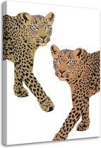 Schilderij Twee luipaarden, 2 maten, Bruin/wit (wanddecoratie)