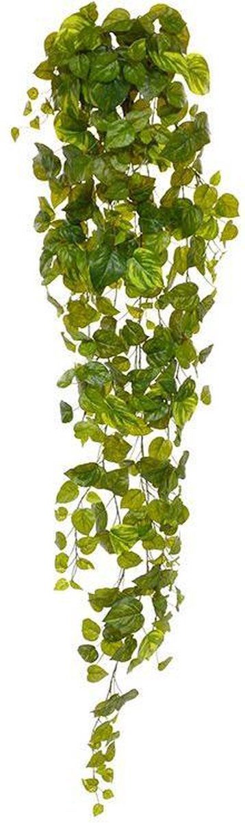 maxifleur Kunstplanten Pothos kunst hangplant 170cm - bont