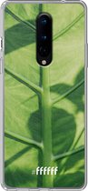 OnePlus 8 Hoesje Transparant TPU Case - Leaves Macro #ffffff