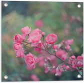 Tuinposter – Roze Bloementak - 50x50cm Foto op Tuinposter  (wanddecoratie voor buiten en binnen)
