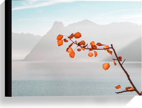 Toile - Branche Oranje en Mer et Montagnes - 40x30cm Photo sur Toile Peinture (Décoration murale sur Toile)