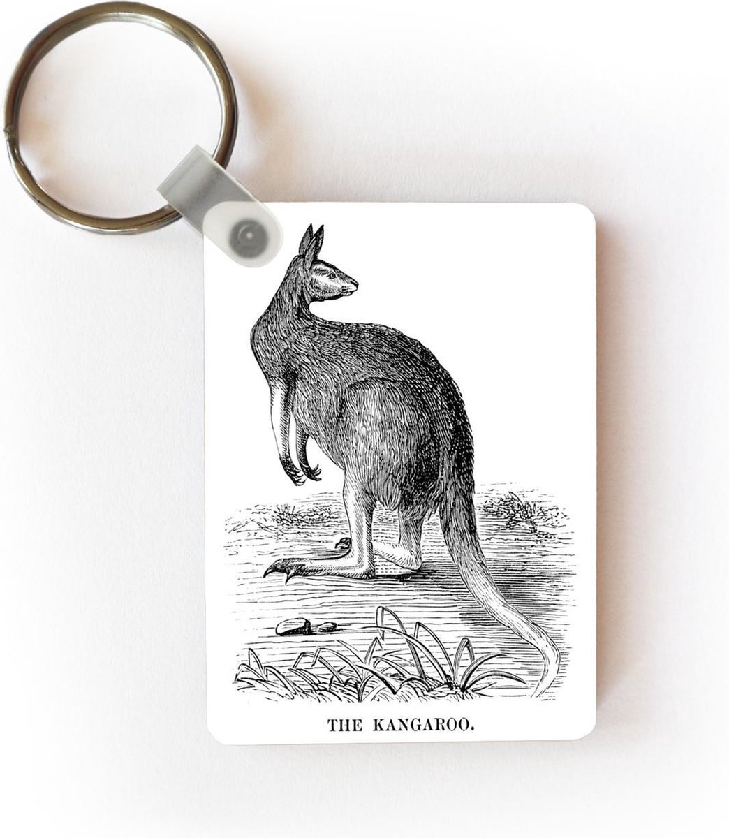 Porte-clés Kangourou Illustration - Une illustration antique d'un porte-clés  kangourou... | bol.com