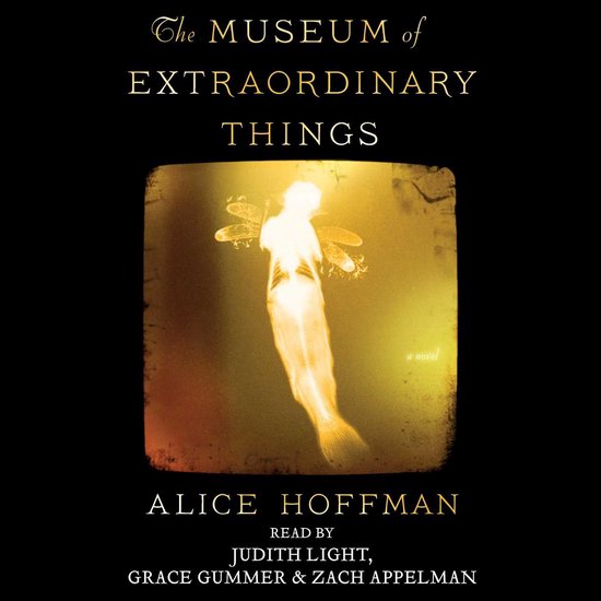 Boekomslag voor 'The Museum of Extraordinary Things' met een geel-oranje illustratie van een vis met insectenvleugels.