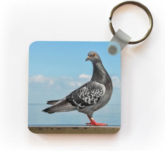 Porte-clés Duif - Une colombe grise devant un ciel bleu Porte-clés plastique - Porte-clés carré avec photo