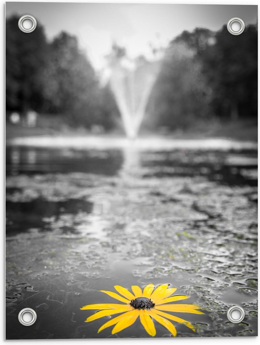 Tuinposter – Gele Bloem in het Water bij Fontein - 30x40cm Foto op Tuinposter (wanddecorat