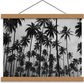 Schoolplaat – Palmbomen in de Hoogte Zwart - Wit - 40x30cm Foto op Textielposter (Wanddecoratie op Schoolplaat)