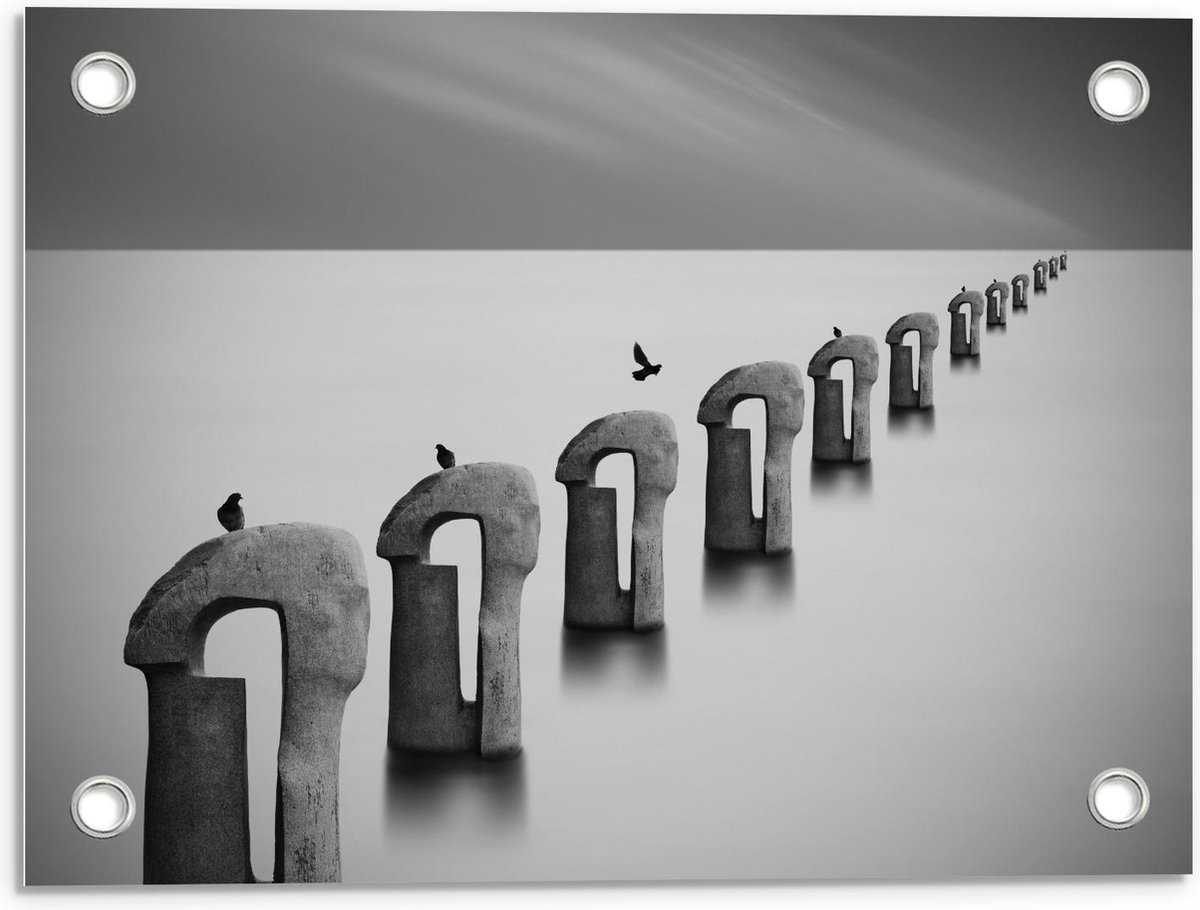 Tuinposter – Vogels op Betonnen Palen ( Zwart Wit ) - 40x30cm Foto op Tuinposter (wanddeco