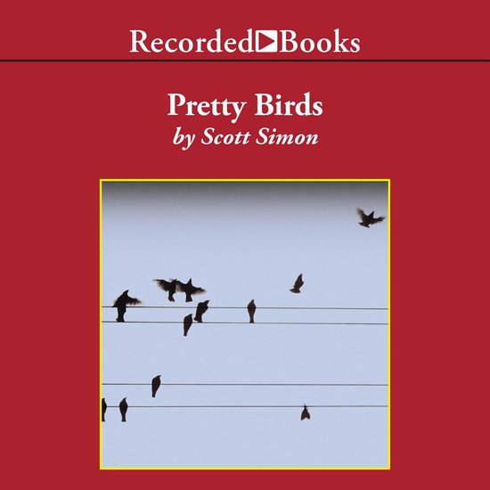 Pretty Birds - cover