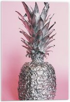 Acrylglas - Zilveren Ananas  met Roze Achtergrond - 40x60cm Foto op Acrylglas (Met Ophangsysteem)