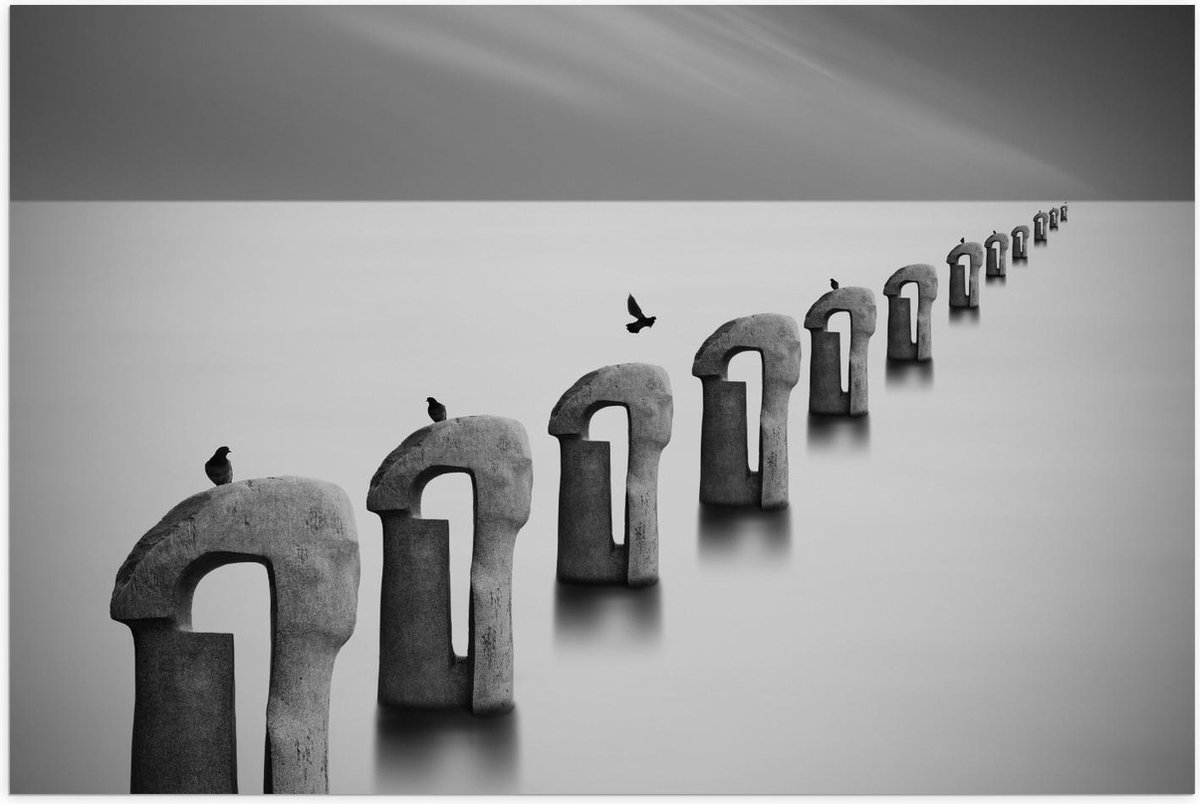 Poster – Vogels op Betonnen Palen ( Zwart Wit ) - 60x40cm Foto op Posterpapier