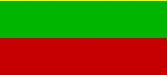 cement kiezen Overeenkomend Home & Styling Vlag Litouwen 90 X 150 Cm Pe Geel/groen/rood | bol.com