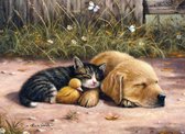Schilderen op nummer - Paint by numbers - Slapende pup kitten en pulletje 28.6x39cm - Schilderen op nummer volwassenen - Paint by numbers volwassenen