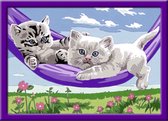 Ravensburger Schilderen op nummer Kittens in de Hangmat - Hobbypakket